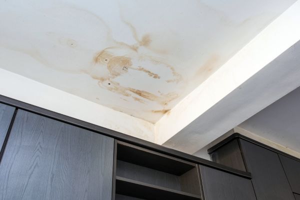 Leak Detection & Patching in Cloverport, KY